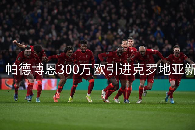 帕德博恩300万欧引进克罗地亚新星维多维奇